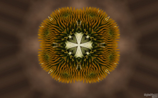 522881 (a): :1680x1050